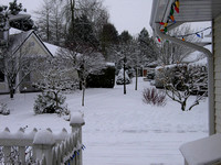 Winter Snow 2008