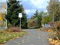 Walnut Grove Bike Path