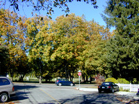 Fort Langley in the Fall